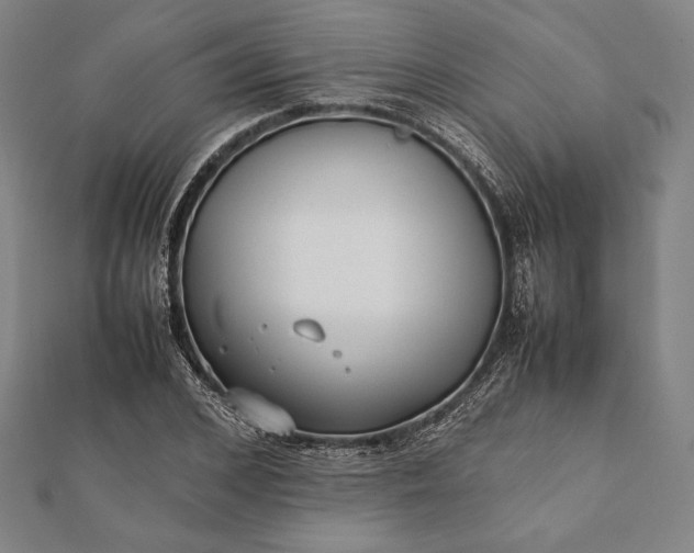 X0000112050976200908181133