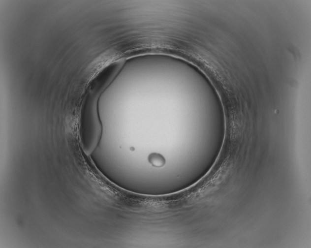 X0000112050977200908181133