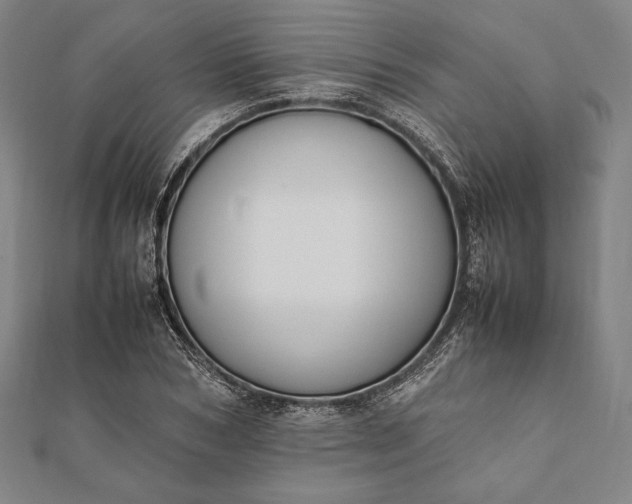 X0000112050978200908181133