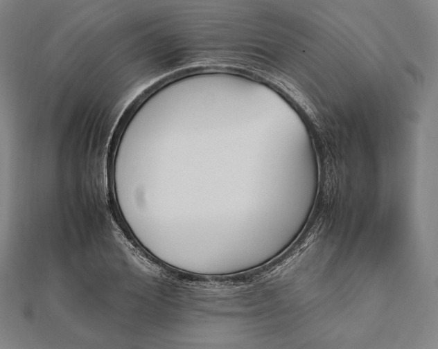 X0000112050980200908181133