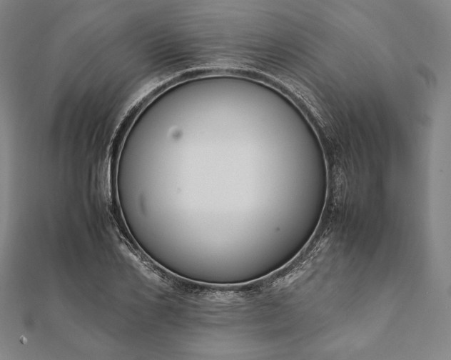 X0000112050982200908181133