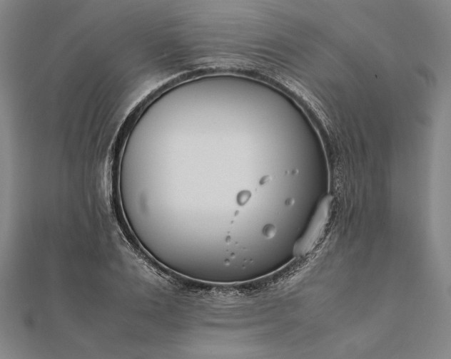 X0000112050983200908181133