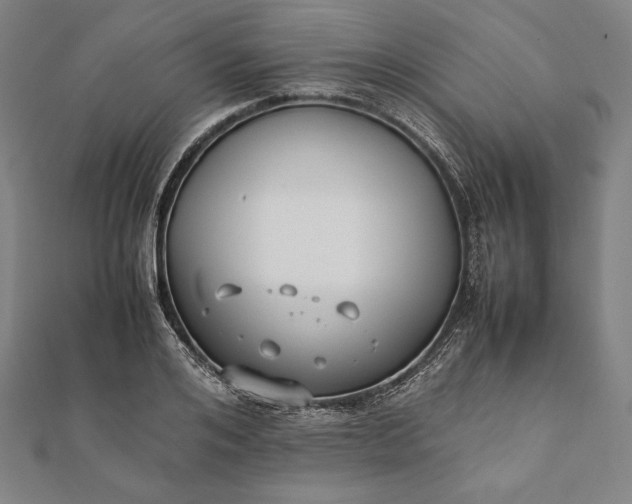 X0000112050984200908181133