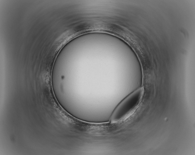 X0000112050985200908181133