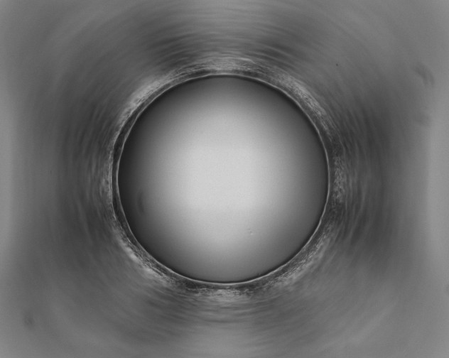 X0000112050986200908181133