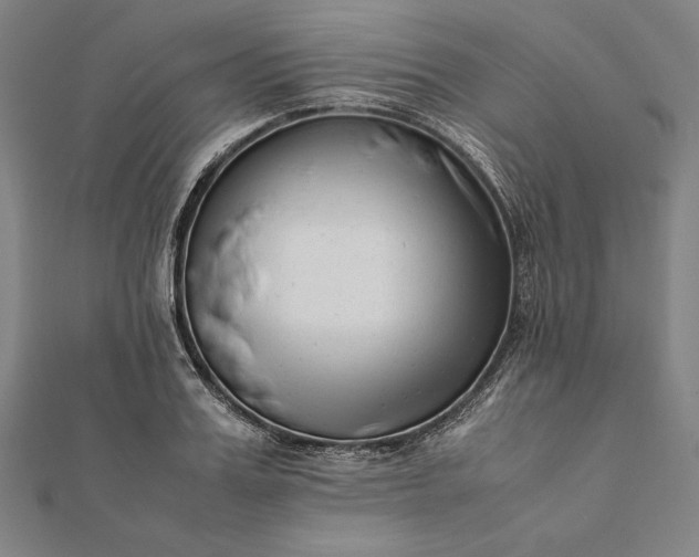 X0000112050987200908181133