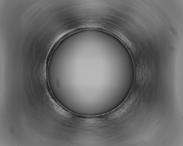 X0000112050988200908181133