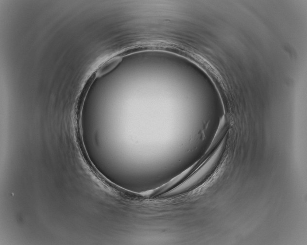 X0000112050989200908181133