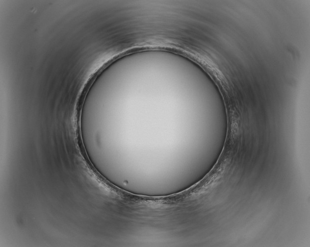 X0000112050990200908181133