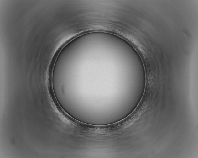 X0000112050991200908181133