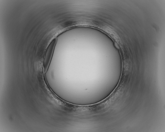 X0000112050993200908181133