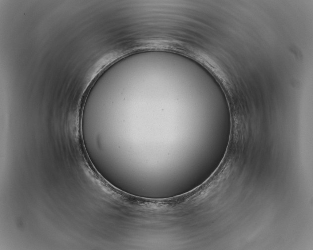 X0000112050994200908181133