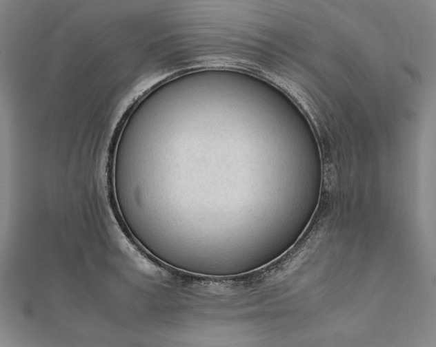 X0000112050995200908181133