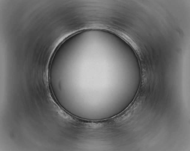 X0000112050996200908181133