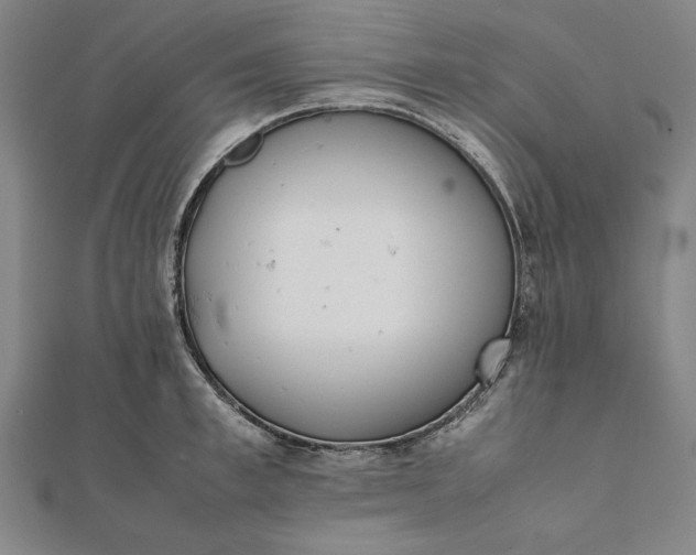 X0000112050997200908181133