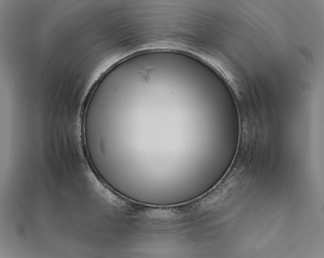 X0000112050998200908181133