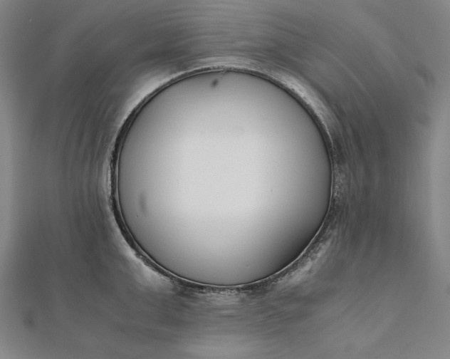 X0000112050999200908181133