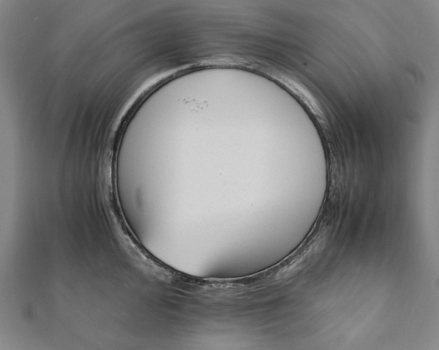 X0000112051000200908181133