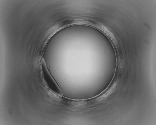 X0000112051001200908181133