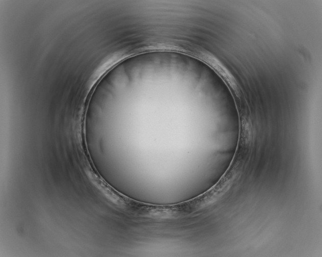 X0000112051002200908181133