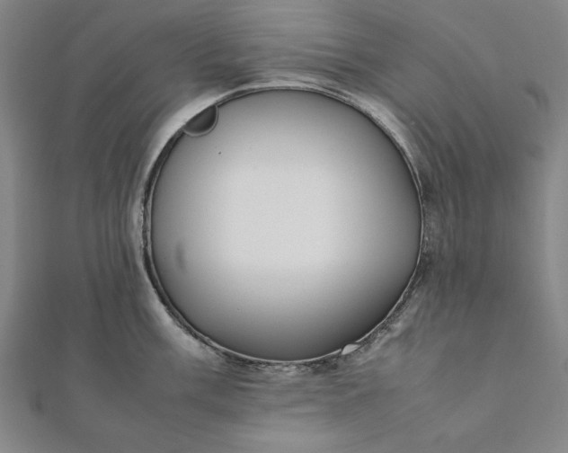 X0000112051003200908181133