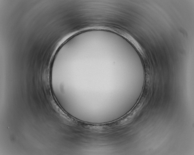 X0000112051004200908181133