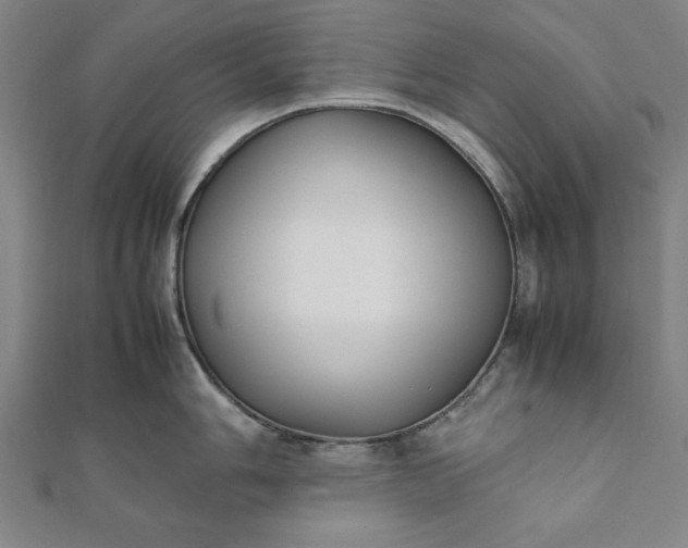 X0000112051006200908181133