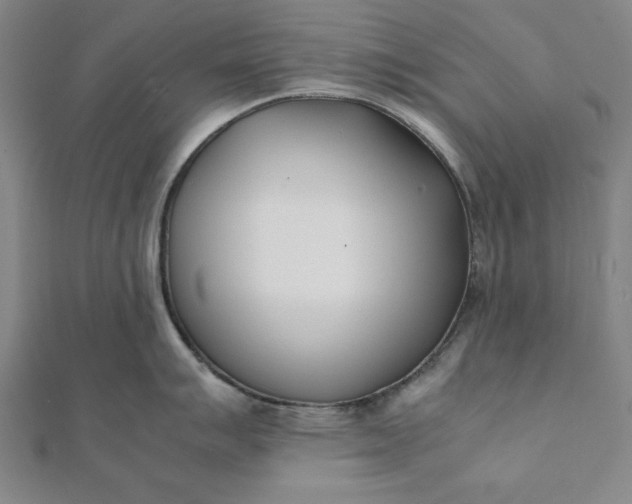 X0000112051007200908181133