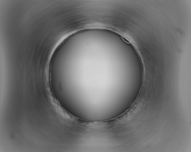 X0000112051008200908181132