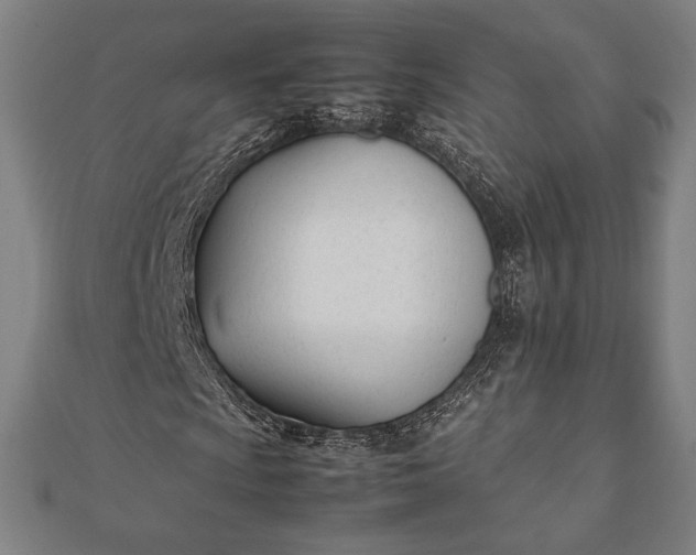 X0000112051009200908181132