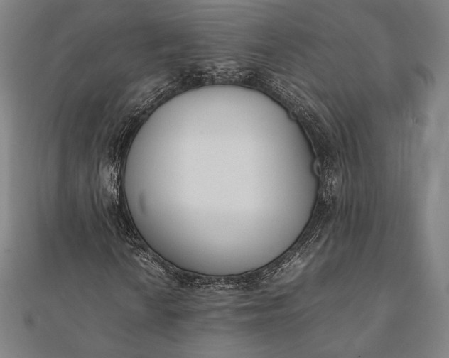 X0000112051010200908181132