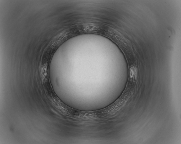 X0000112051011200908181132