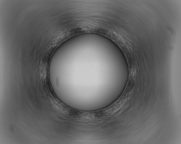 X0000112051012200908181132