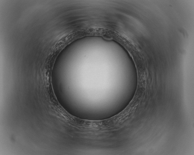 X0000112051013200908181132