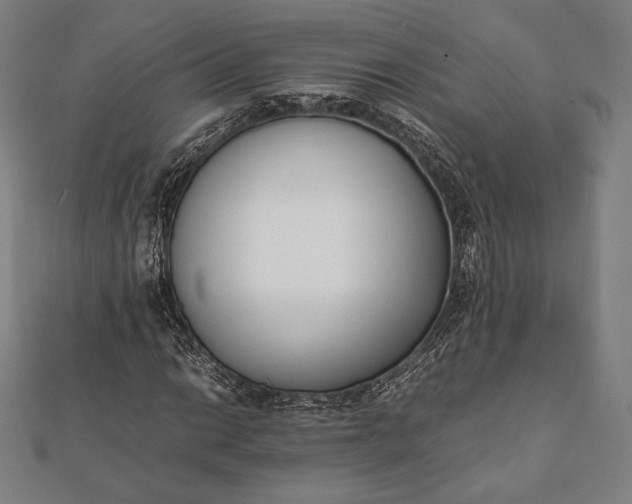 X0000112051014200908181132