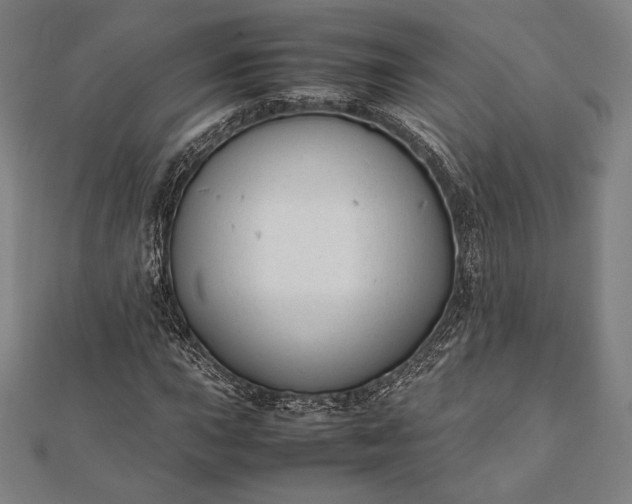 X0000112051015200908181132