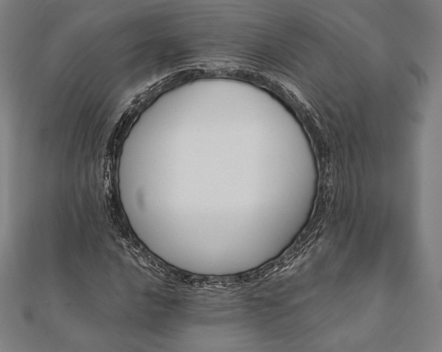 X0000112051016200908181132