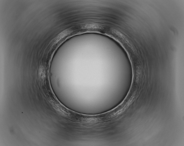 X0000112051017200908181132