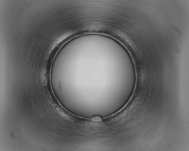 X0000112051018200908181132