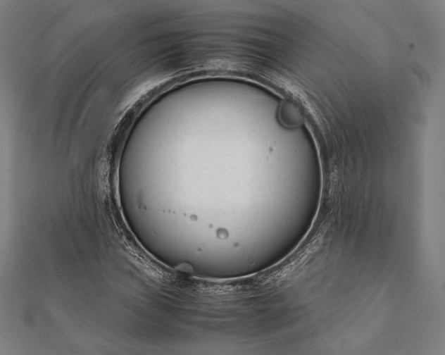 X0000112051019200908181132