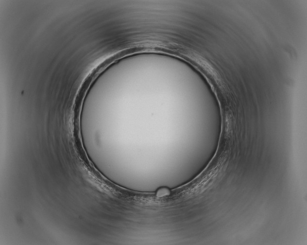 X0000112051020200908181132