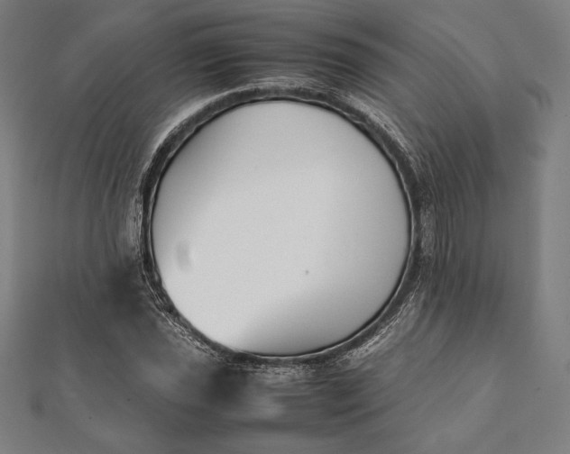 X0000112051021200908181132