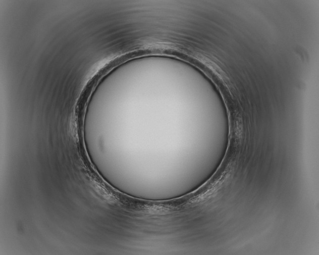 X0000112051022200908181132