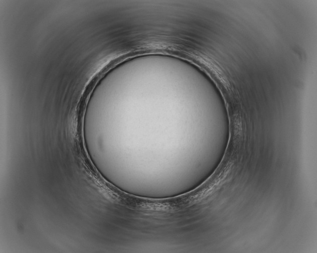 X0000112051023200908181132