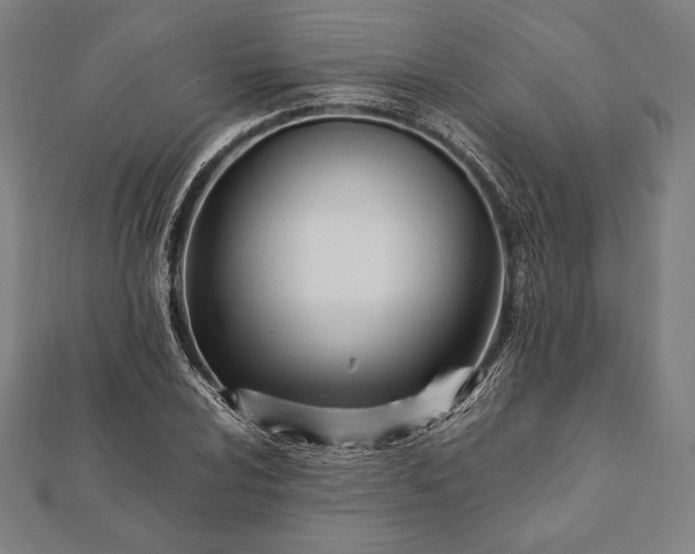 X0000112051024200908181132