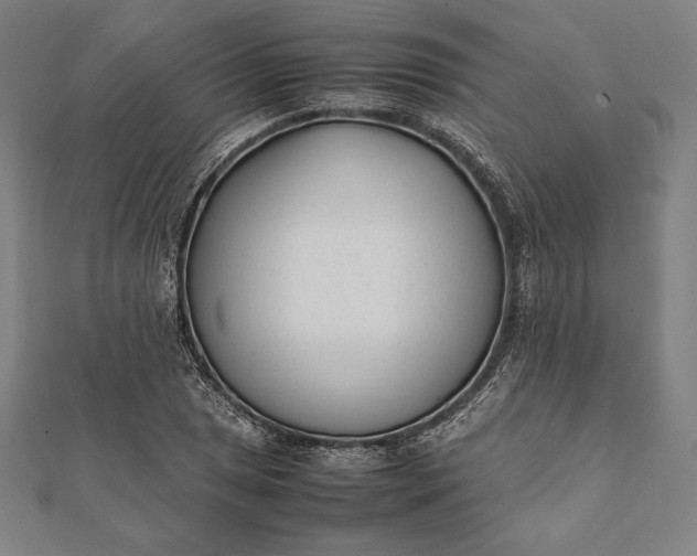 X0000112051025200908181132