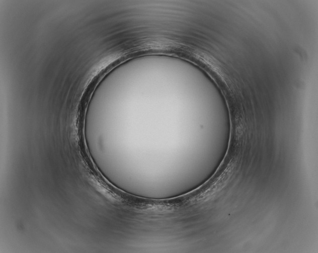 X0000112051026200908181132