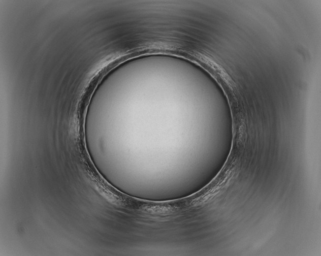 X0000112051027200908181132