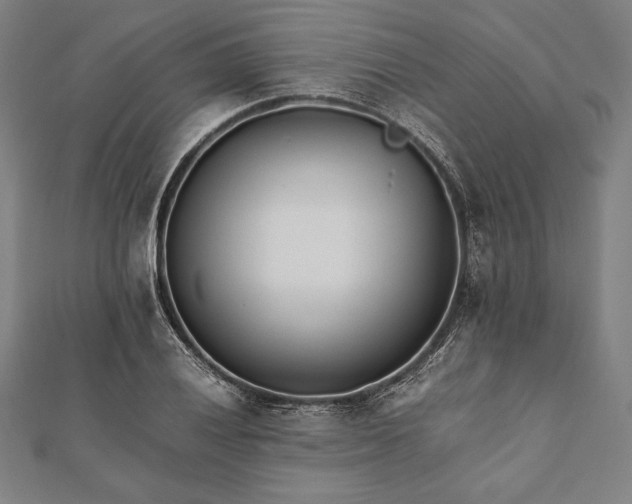 X0000112051028200908181132