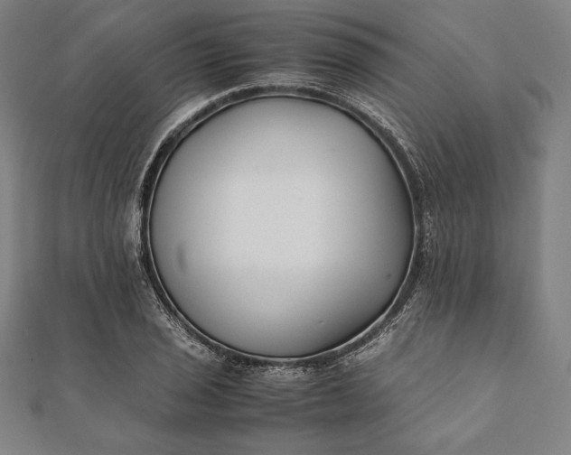 X0000112051029200908181132